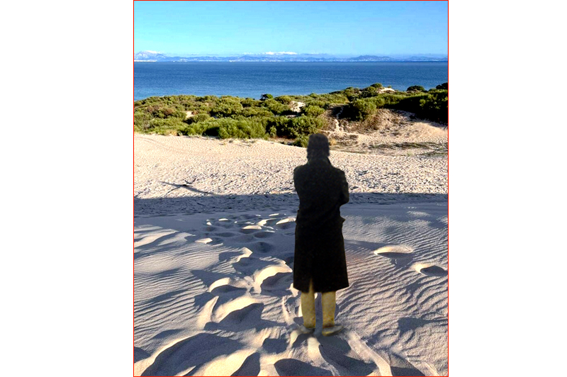 tarifa