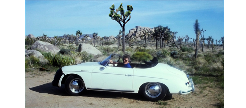 Joshua Tree