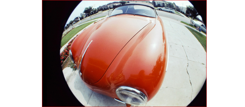 Persimmon